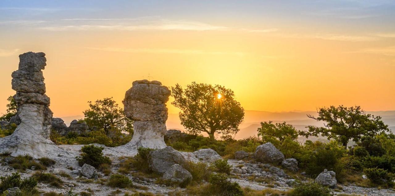 Le Gite De La Badassiere Lägenhet Forcalquier Exteriör bild